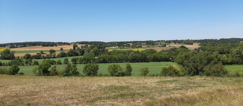 Rappel : la balade de la semaine à Mourède 