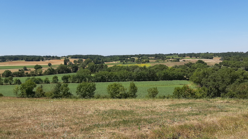 Rappel : la balade de la semaine à Mourède 