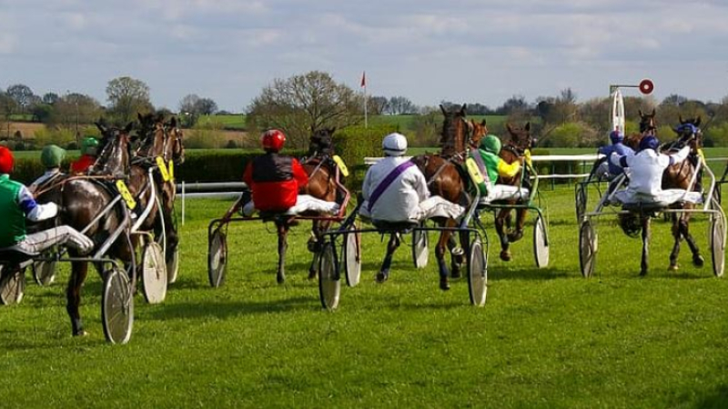 L'hippodrome est en fête, le dimanche 16 août