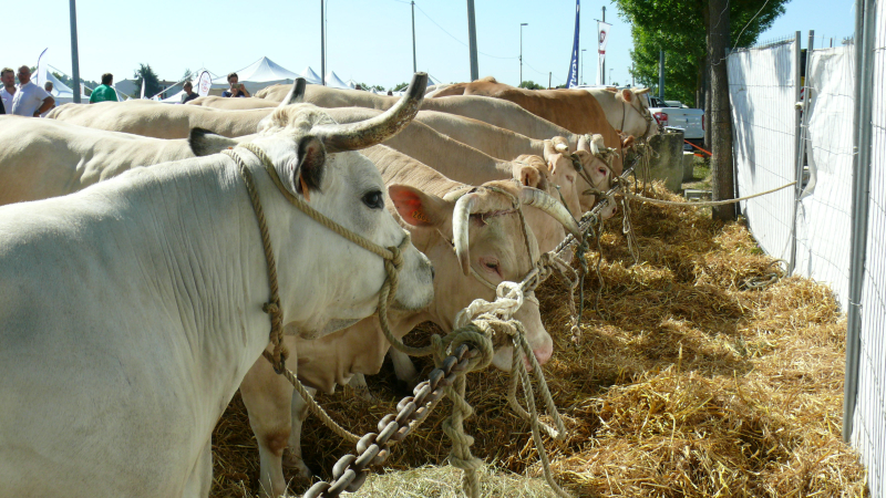 2020 : les dix ans de Gascogn'Agri fêtés à Samatan