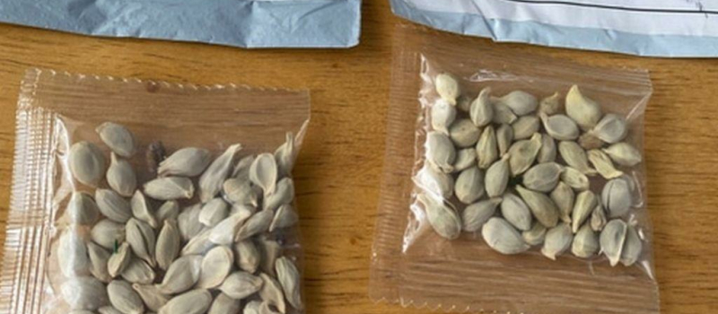 Envois non sollicités de semences en provenance de Chine ?