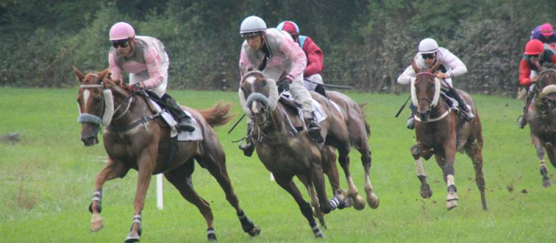 Courses de chevaux et repas