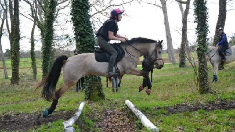 Concours officiel de derby eventing au centre équestre vicois