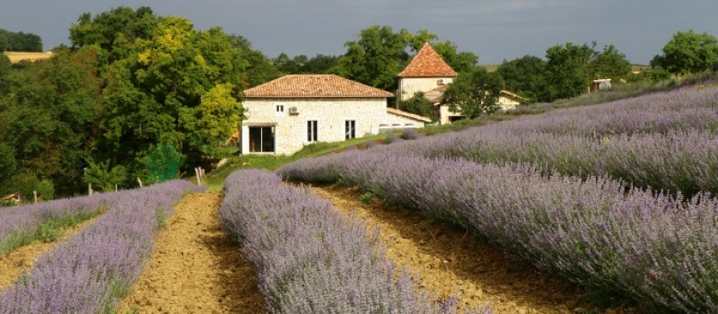 Altho - Des huiles essentielles aux beaux projets