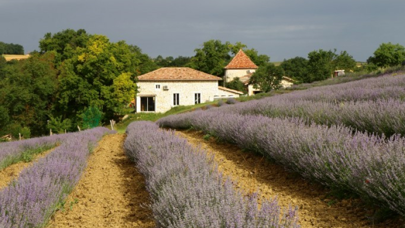 Altho - Des huiles essentielles aux beaux projets