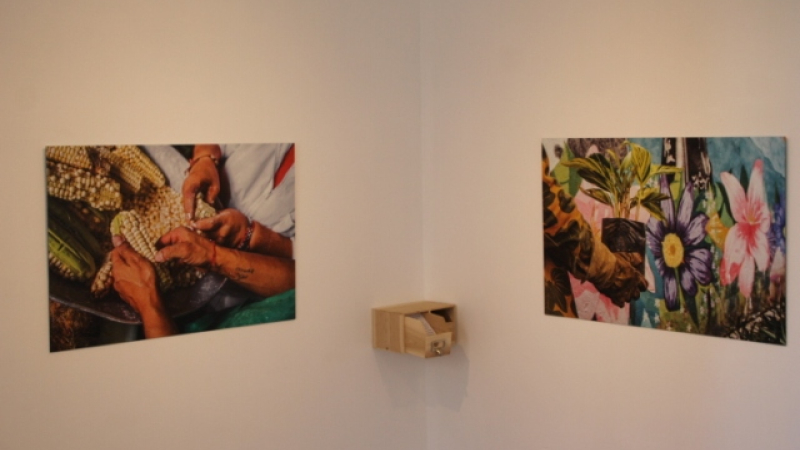 Expo photo à tiroirs de Julie Imbert au musée des Amériques