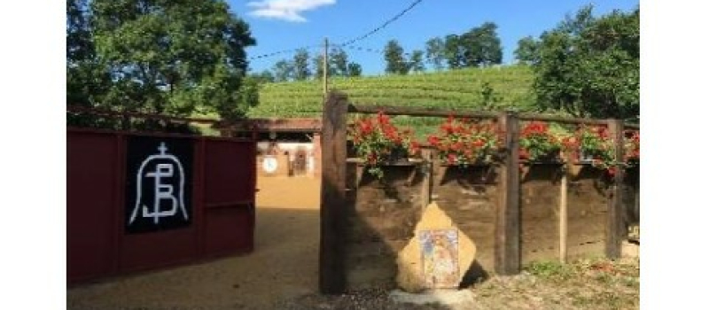 Tienta de Machos aux arènes du Lartet