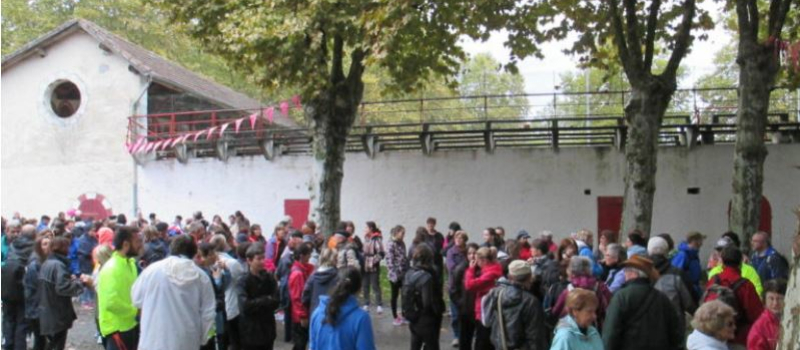 Une marche pour aider la ligue contre le cancer du sein