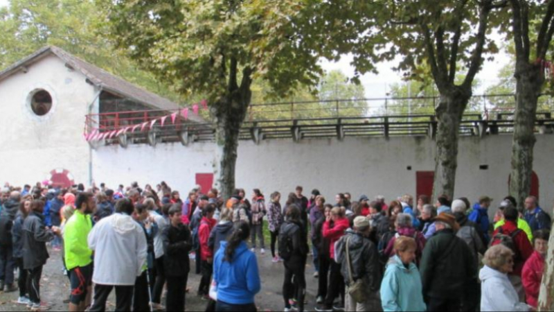 Une marche pour aider la ligue contre le cancer du sein