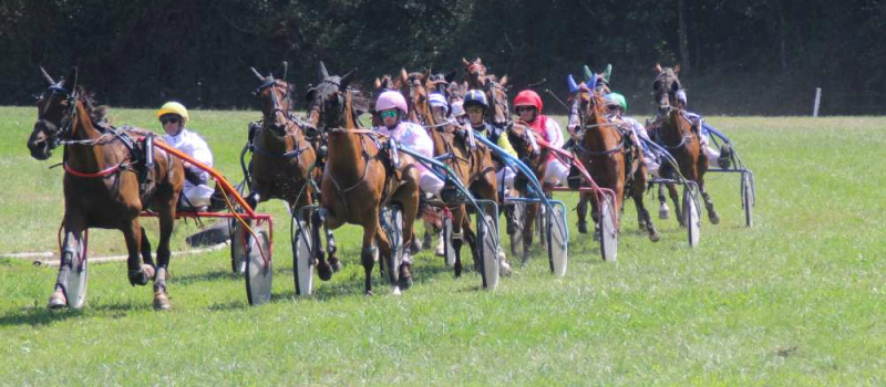 Courses de chevaux et repas