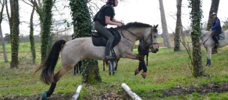 Rappel : concours officiel de Derby Eventing au centre équestre vicois