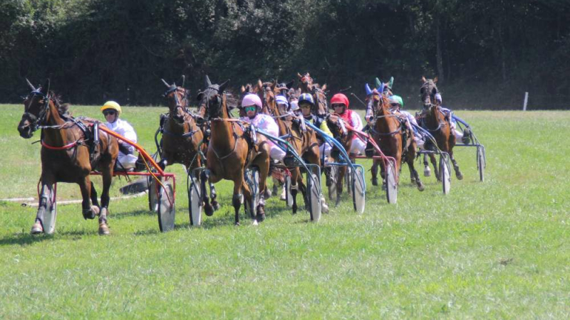 Courses de chevaux annulées