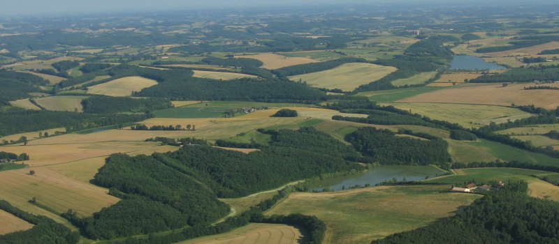 Grand Auch Coeur de Gascogne : L'agenda du 9 octobre au 11 octobre