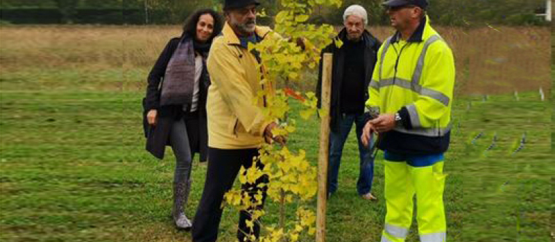 Il était une fois le Ginkgo Biloba