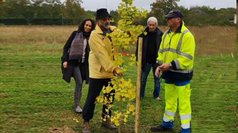 Il était une fois le Ginkgo Biloba