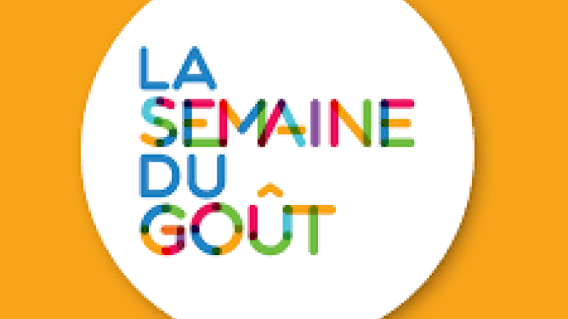 Le pain à l'honneur à l'occasion de la semaine du goût 
