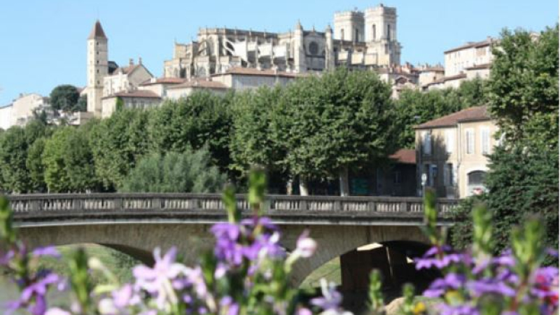 4 Fleurs et une Fleur d’Or 
