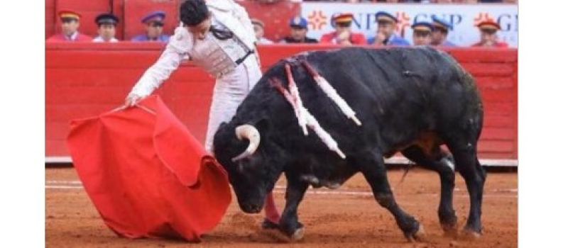 Report du festival taurin caritatif  de Samadet au dimanche 20 décembre