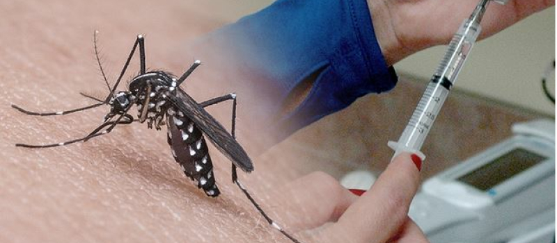 Suspicion de cas de dengue