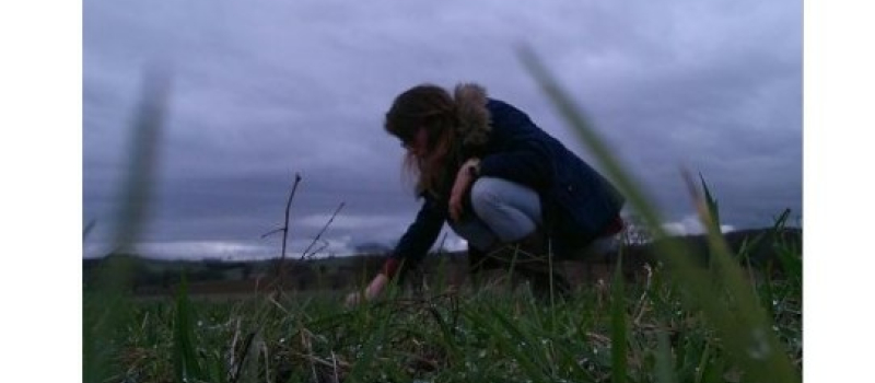 Nouvelle création d'entreprise  à Vic: une conseillère agricole indépendante
