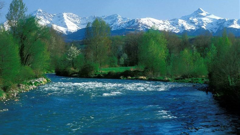 Rencontre autour de l'eau