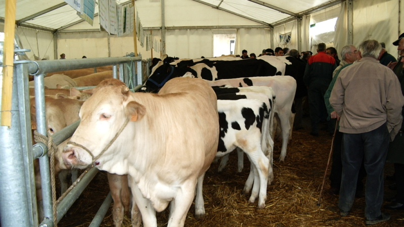 La foire de Riscle s’adapte pour cette édition 2020.