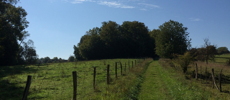  Laissez nous accéder à la #nature, risques infimes mais bénéfices considérables !