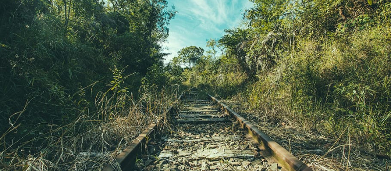 Le rail : la solution écologique d’avenir