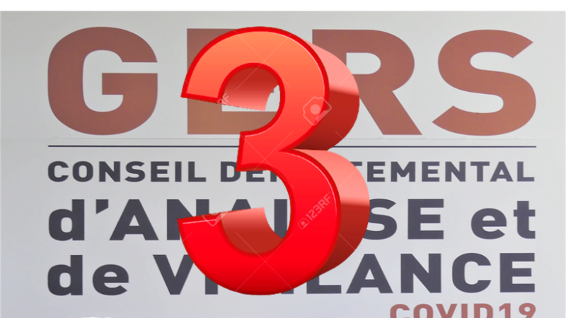 Conseil Départemental d’Analyse et de Vigilance COVID-19.  N°3