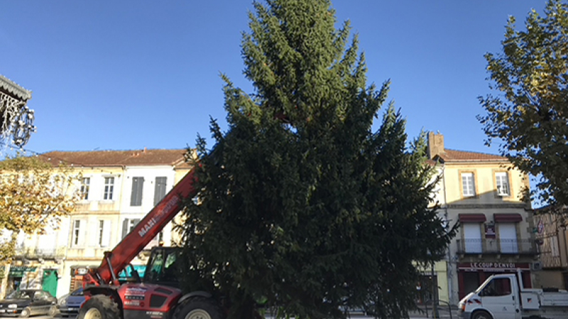 Le sapin en place