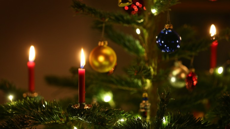 Un coup dur pour les exposants, le premier marché de Noël interdit sous la Halle