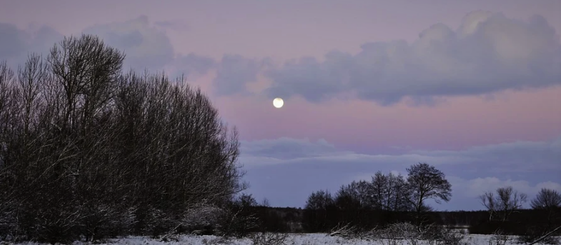 La Nuit de l'Écriture pour fêter le solstice d'hiver