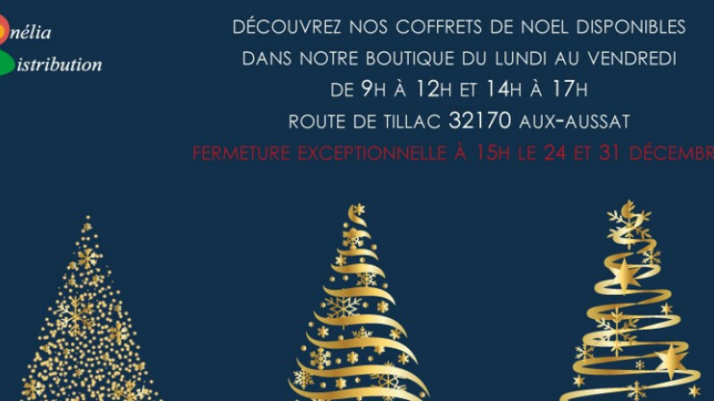 Onélia Distribution : la boutique de Noël à l’italienne.