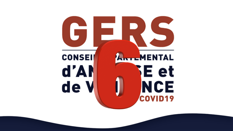 Conseil Départemental d’Analyse et de Vigilance COVID-19. N°6