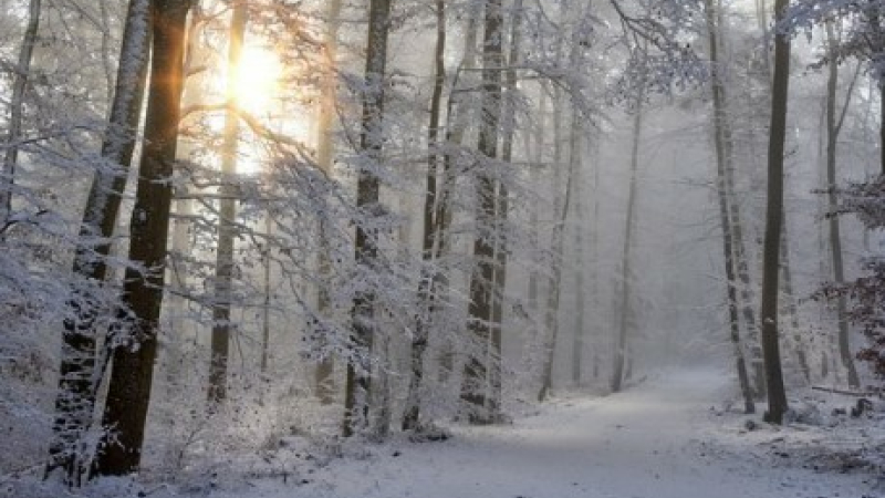 L’informe à Tics, la fée, la sorcière et la neige  qui ne tombe pas.