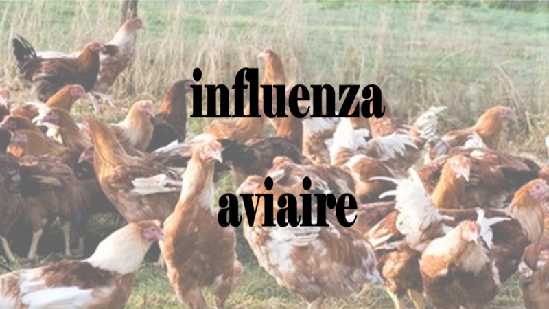 Toujours un virus !