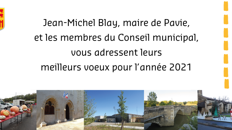 Les vœux du Maire