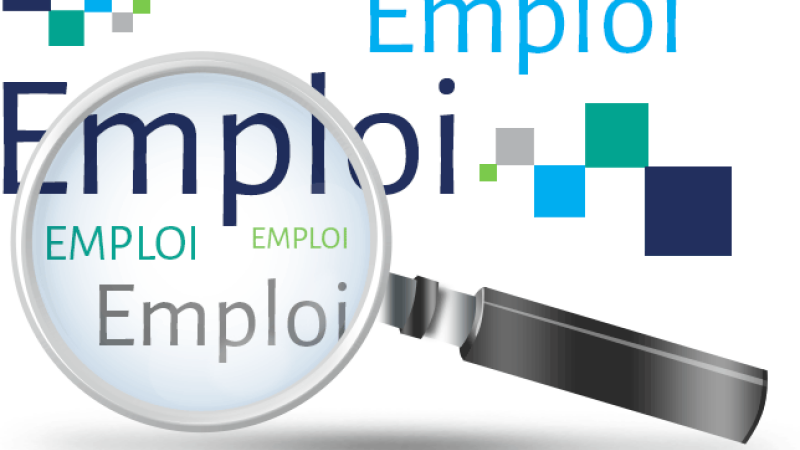 Bilan de l'emploi du secteur privé au 3e trimestre 2020