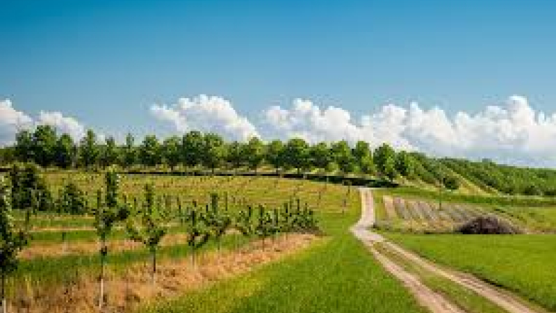 Agroforesterie : Des formations sur le terrain ou via le net	