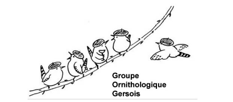 Mieux connaître et protéger l’avifaune du Gers, l’objectif du groupe ornithologique gersois