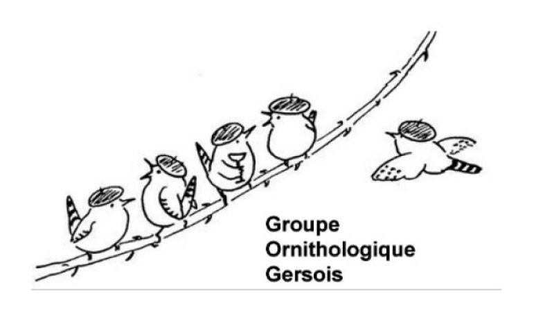 Mieux connaître et protéger l’avifaune du Gers, l’objectif du groupe ornithologique gersois