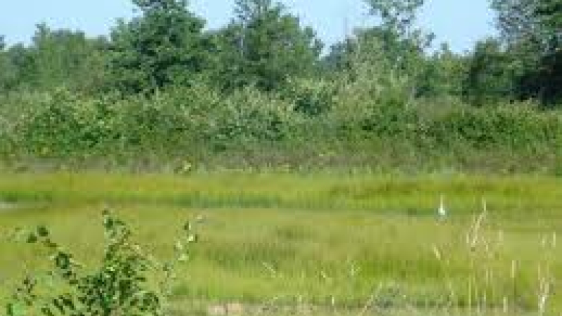 Balades nature pour petits et grands avec le CPIE Pays gersois !