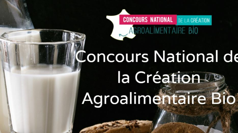 Retrouvez les Brèves de la CCI