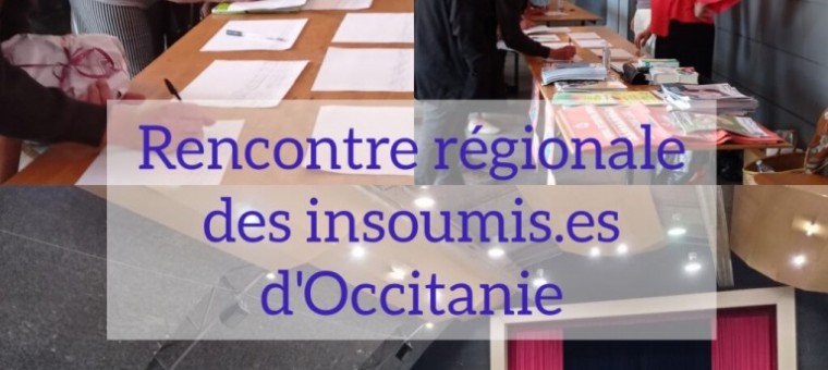 rencontre régionale des insoumis d'occitanie2.jpg