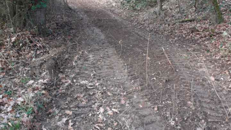 Ouverture de nouveaux chemins de randonnées