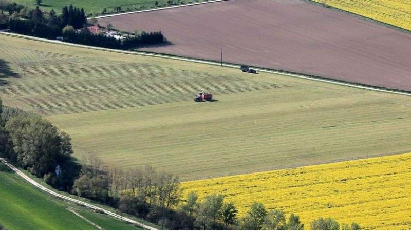 Congrès FDSEA : les revenus sont absents dans plus en plus de fermes