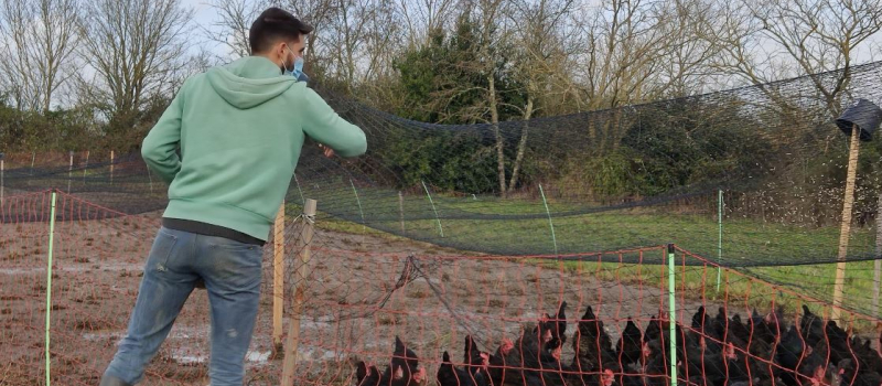 Découvrez La Ferme Enchantée et votez pour elle !