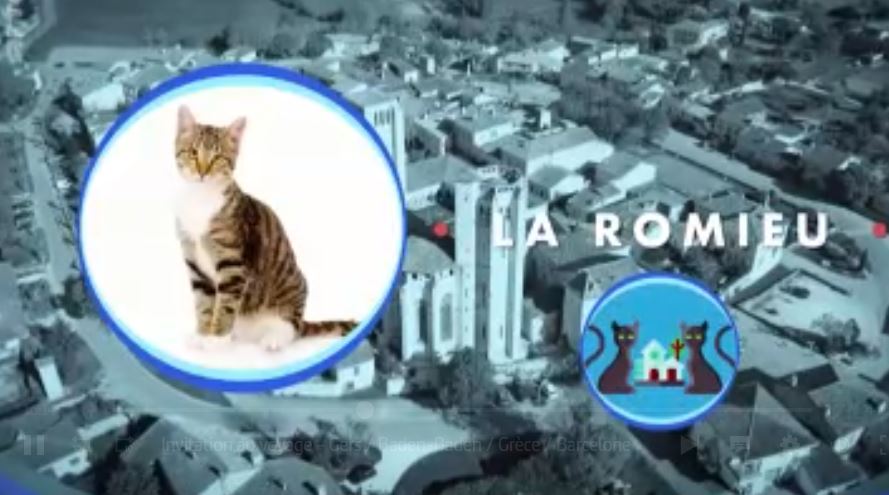 Dans le Gers, beaucoup de possibilités de sujets de reportage : le Chat de La Romieu en est !
