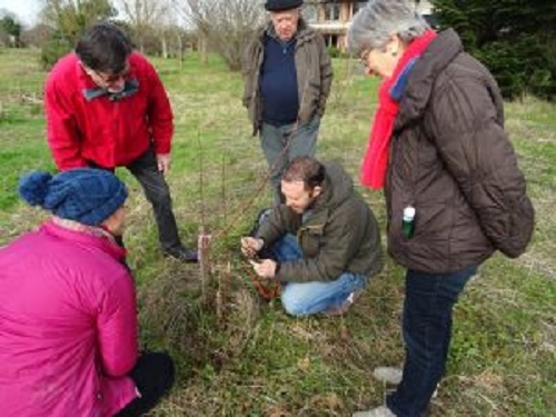 Jeudi jardin : les boutures de rosiers  crédit asso//Pierre et Terre