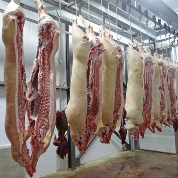 Abattoir pig-pork-slaughterhouse-butcher.jpg